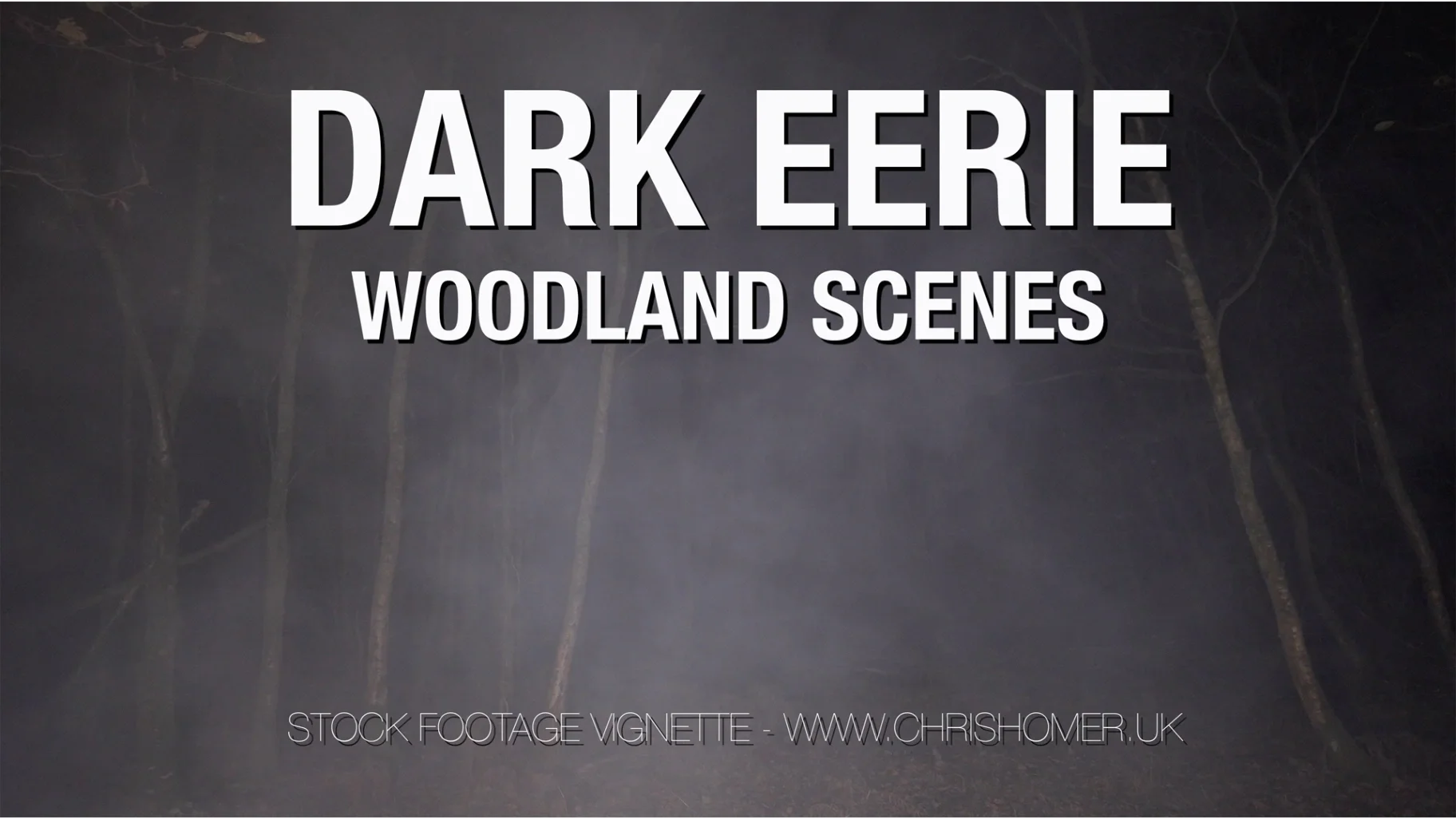 Dark eerie woodland stock video footage