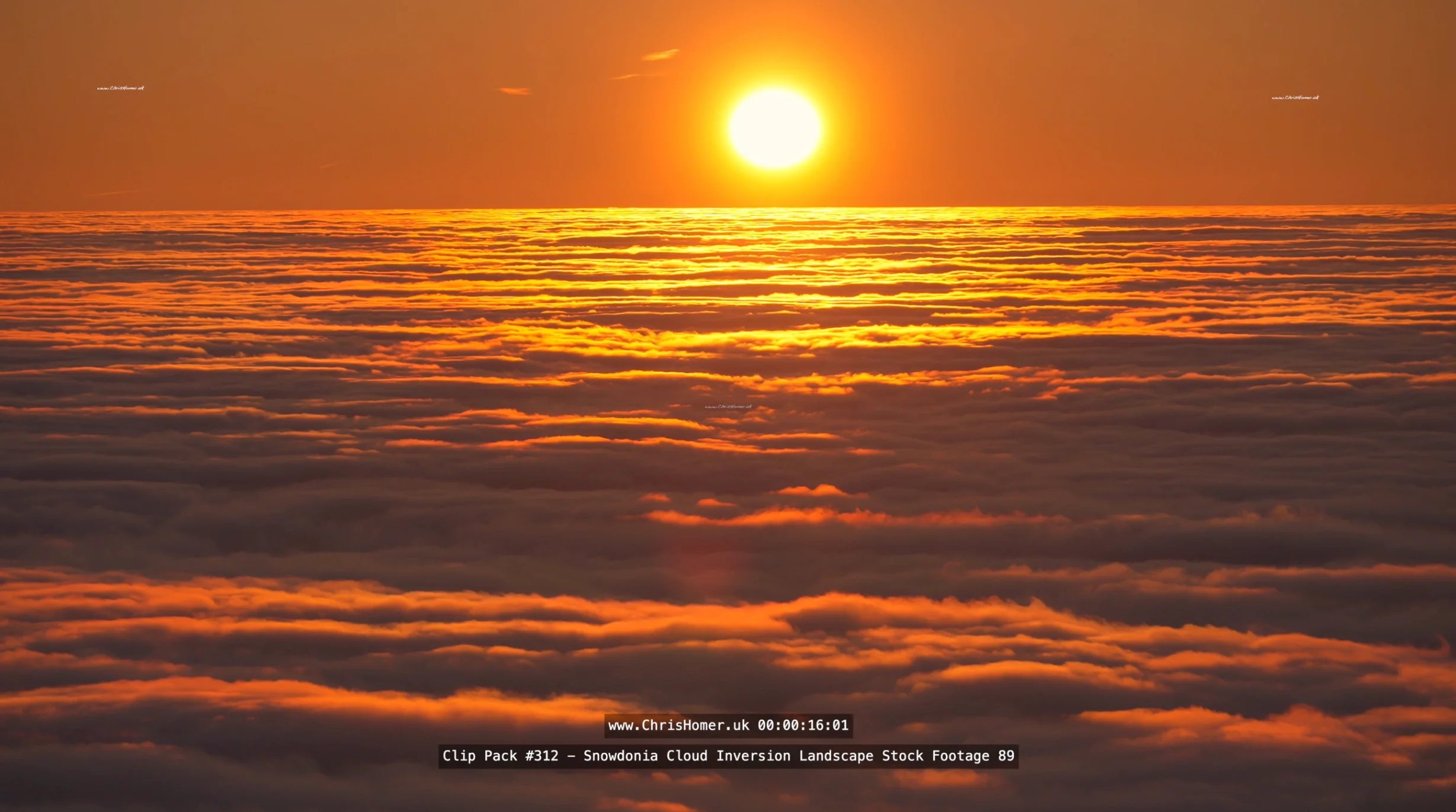 Screenshot 2026-06-10 at 09.30.19_compressed.webp