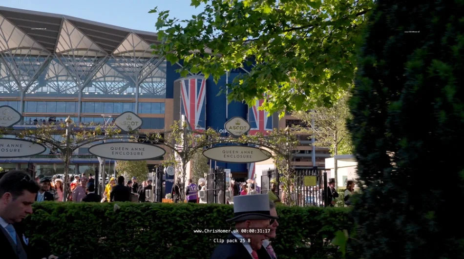 Screenshot 2026-06-01 at 09.13.54_compressed.webp