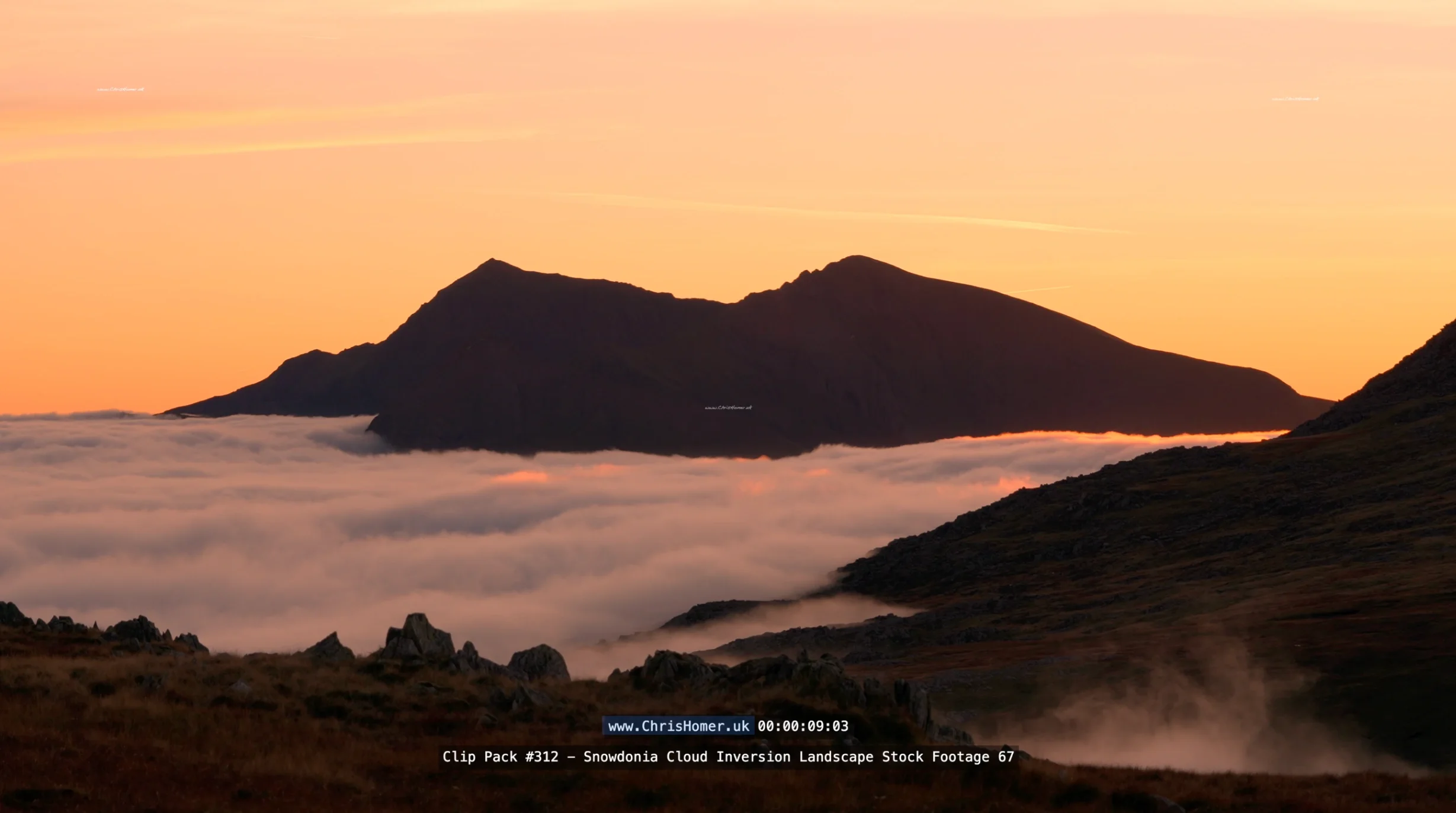 Screenshot 2026-06-10 at 09.32.32_compressed.webp