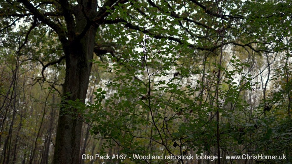 Clip Pack 167 50-00-00-08-360.jpg