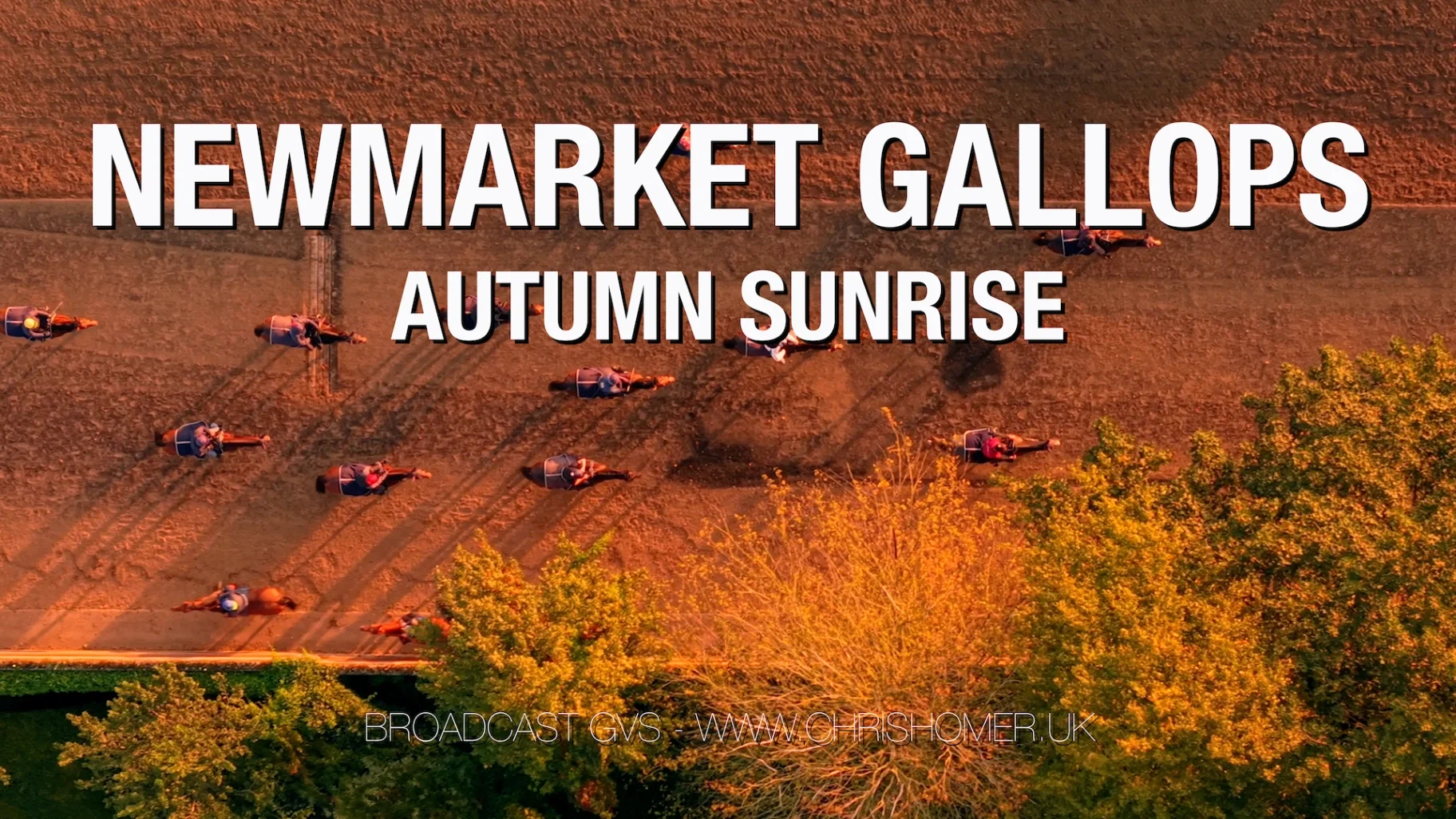 Newmarket Gallops - Autumn Sunrise Stock Footage Sequence