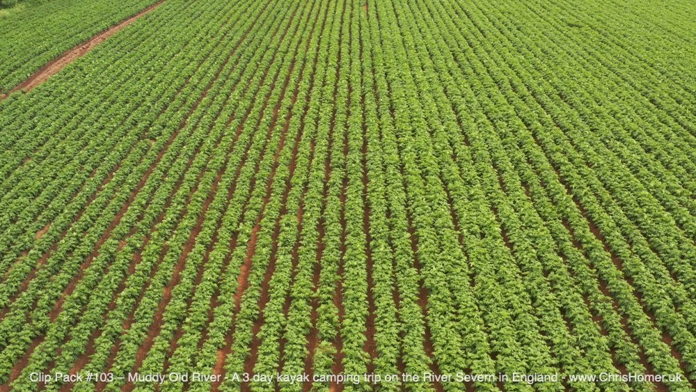 British farming stock video footage for royalty free download