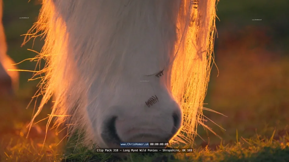 Screenshot 2026-05-24 at 16.35.49_compressed.webp