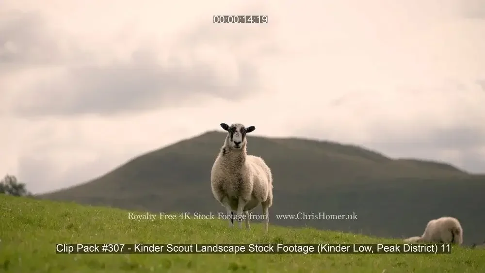 Clip Pack #307 - Kinder Scout Landscape Stock Footage (Kinder Low, Peak District)