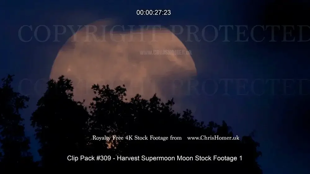 Harvest supermoon stock video footage