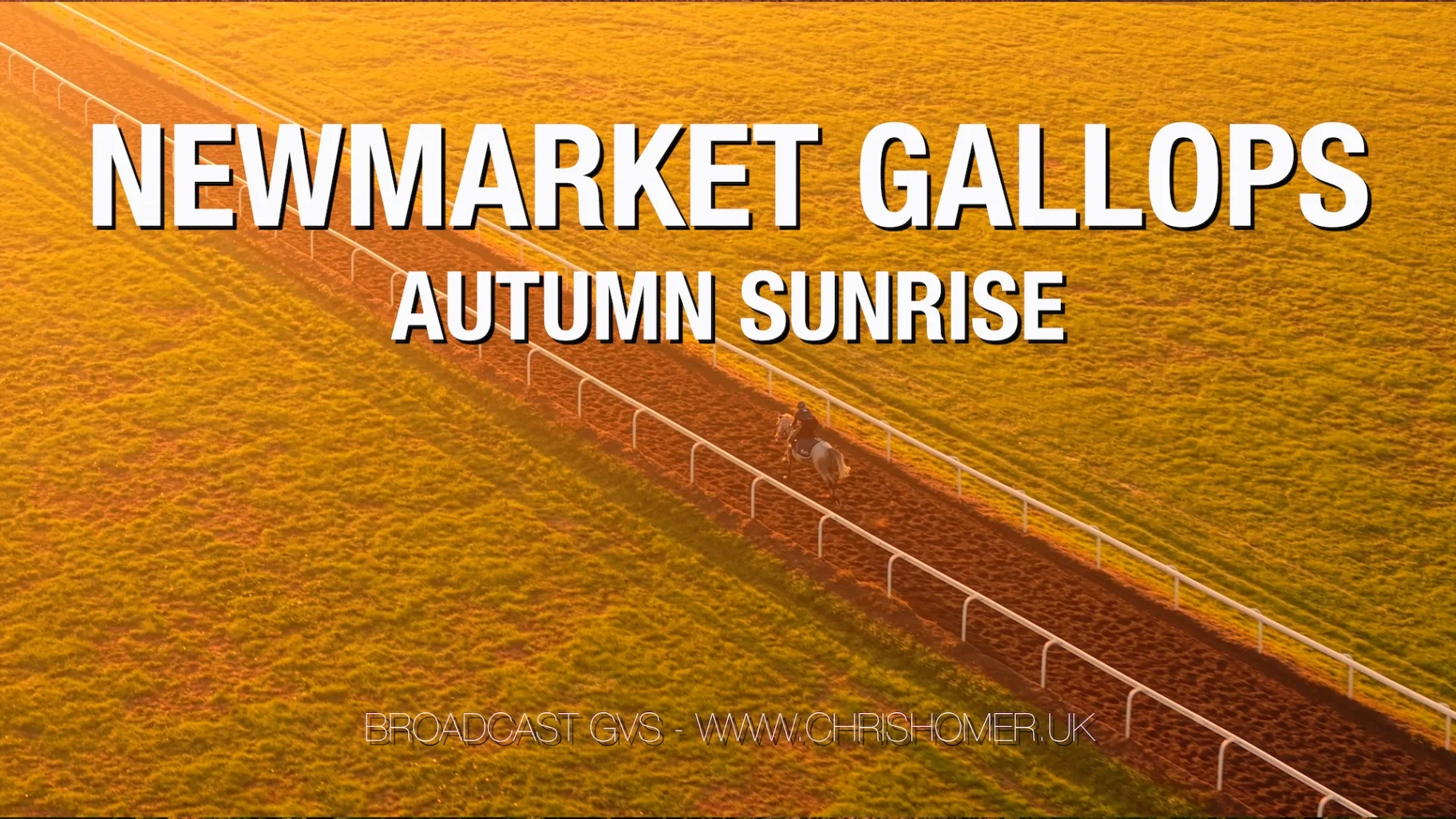 Newmarket Gallops - Autumn Sunrise Stock Footage Sequence