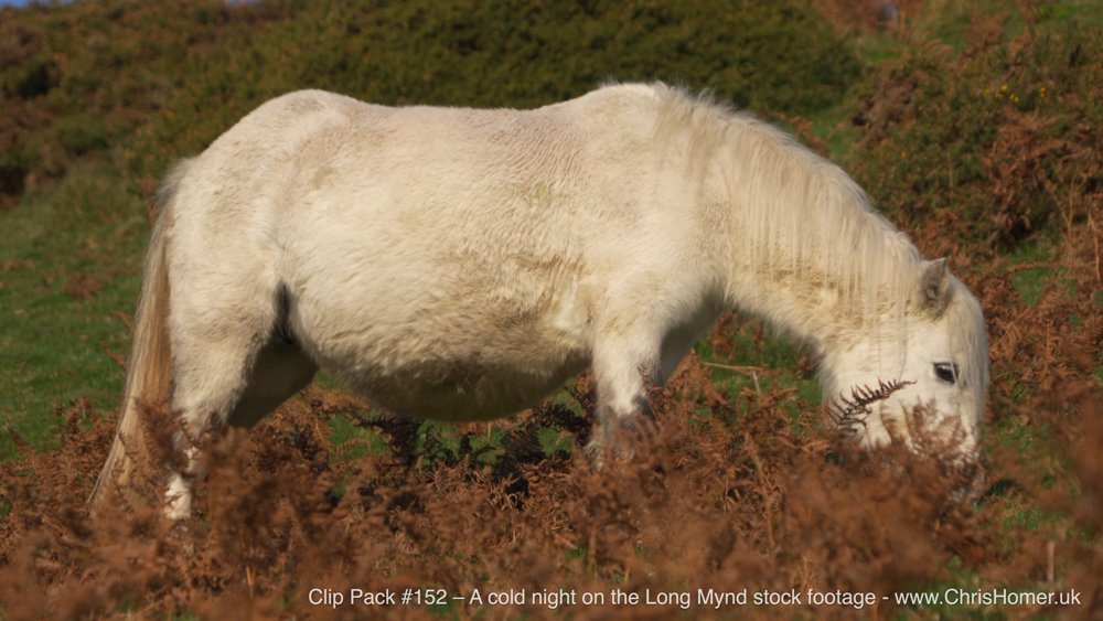 Clip Pack #152 – A Cold Night on the Long Mynd Stock Footage (With Drone & Timelapse)