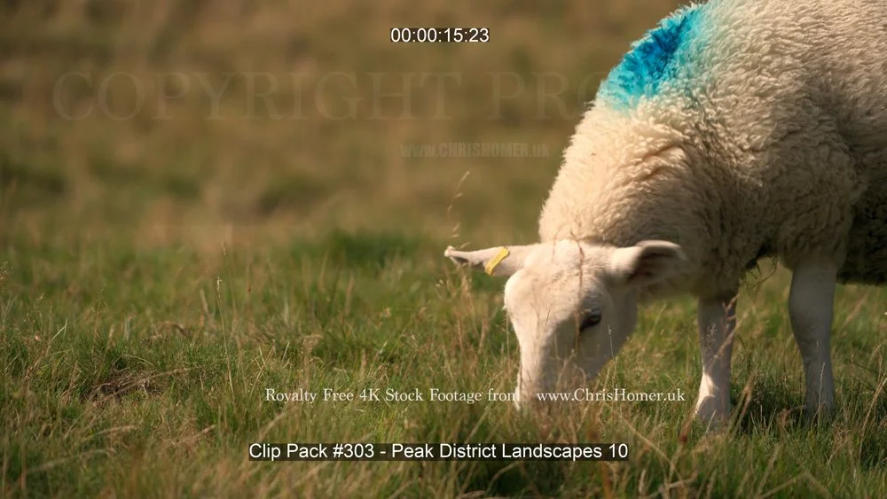 Clip Pack #303 - Peak District Landscapes 10-00-00-15-920.jpg
