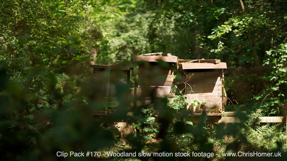 Clip Pack 170 1-00-00-05-940.jpg