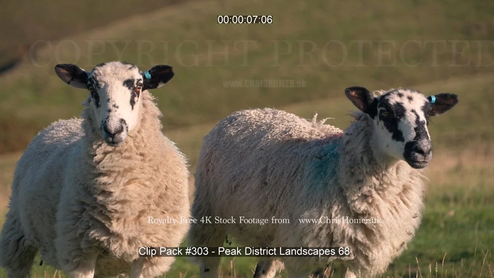 Clip Pack #303 - Peak District Landscapes 68-00-00-07-260.jpg