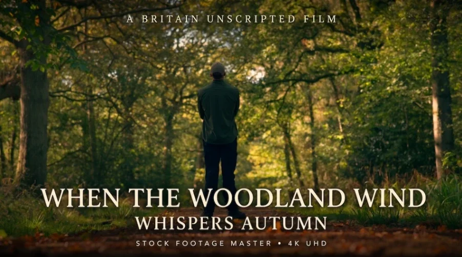 When the Woodland Wind Whispers Autumn | Britain Unscripted
