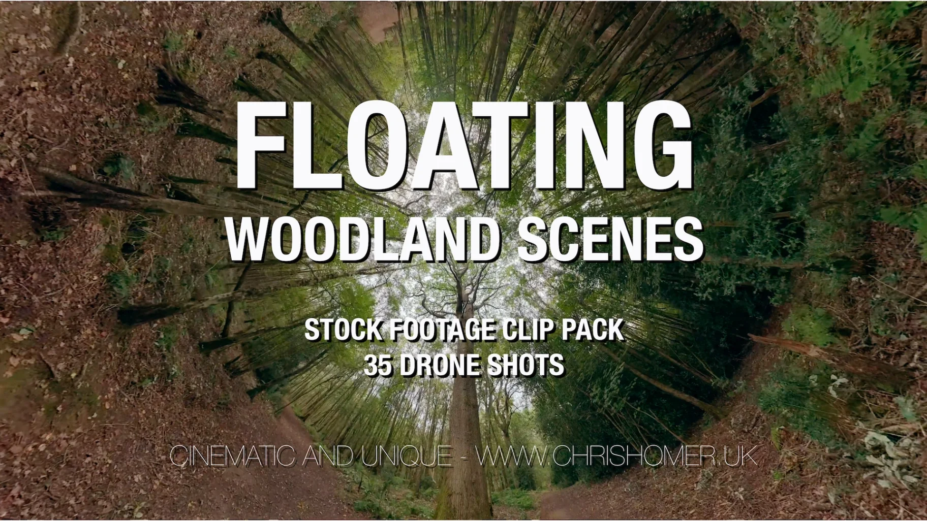 Early Autumn Woodland Floating Scenes - Stock Footage Clip Pack 345