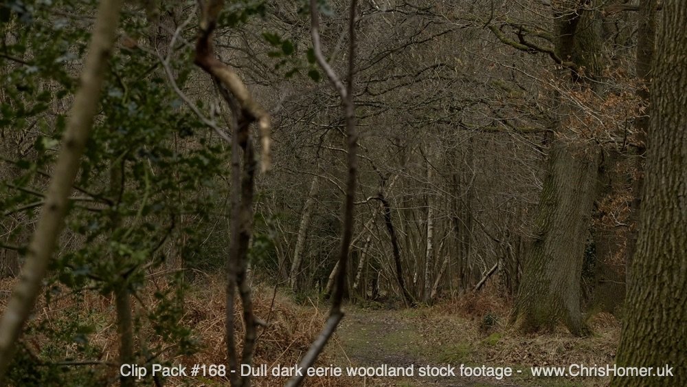 Clip Pack 168 22-00-00-13-420.jpg