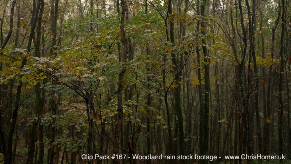 Clip Pack 167 59-00-00-14-100.jpg