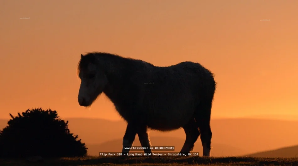 Screenshot 2026-06-10 at 20.25.02_compressed.webp