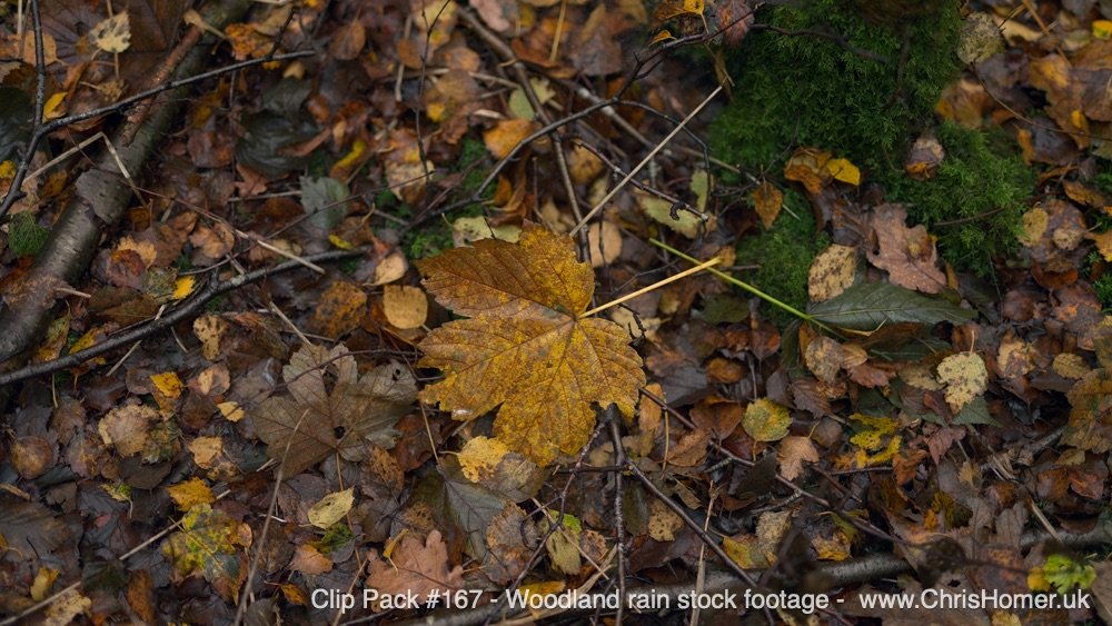 Clip Pack 167 7-00-00-06-080.jpg