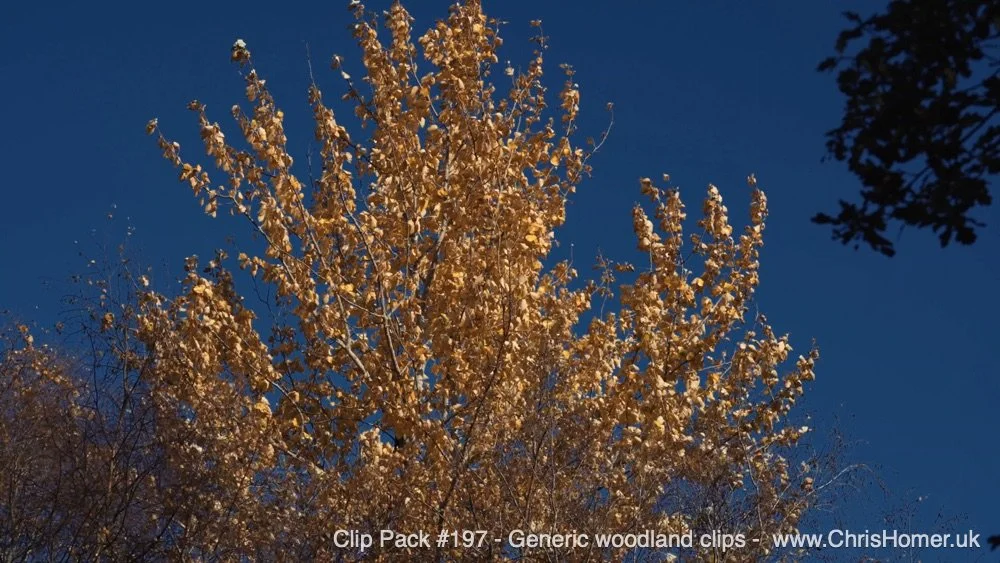 Clip pack 197 60-00-00-14-920.jpg