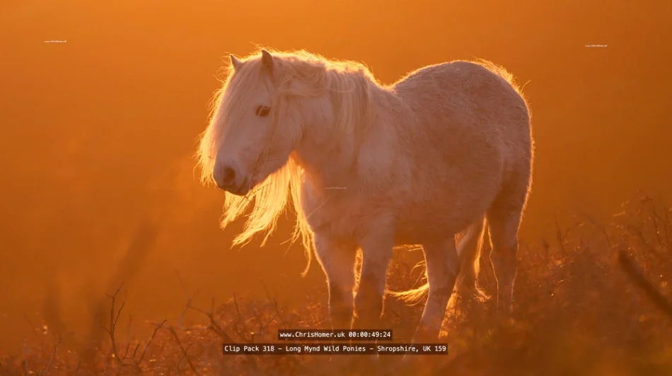 Screenshot 2026-05-24 at 16.36.33_compressed.webp