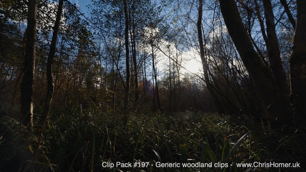 Clip pack 197 2-00-00-14-940.jpg