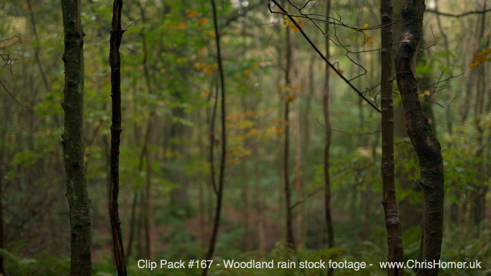 Clip Pack 167 56-00-00-09-960.jpg