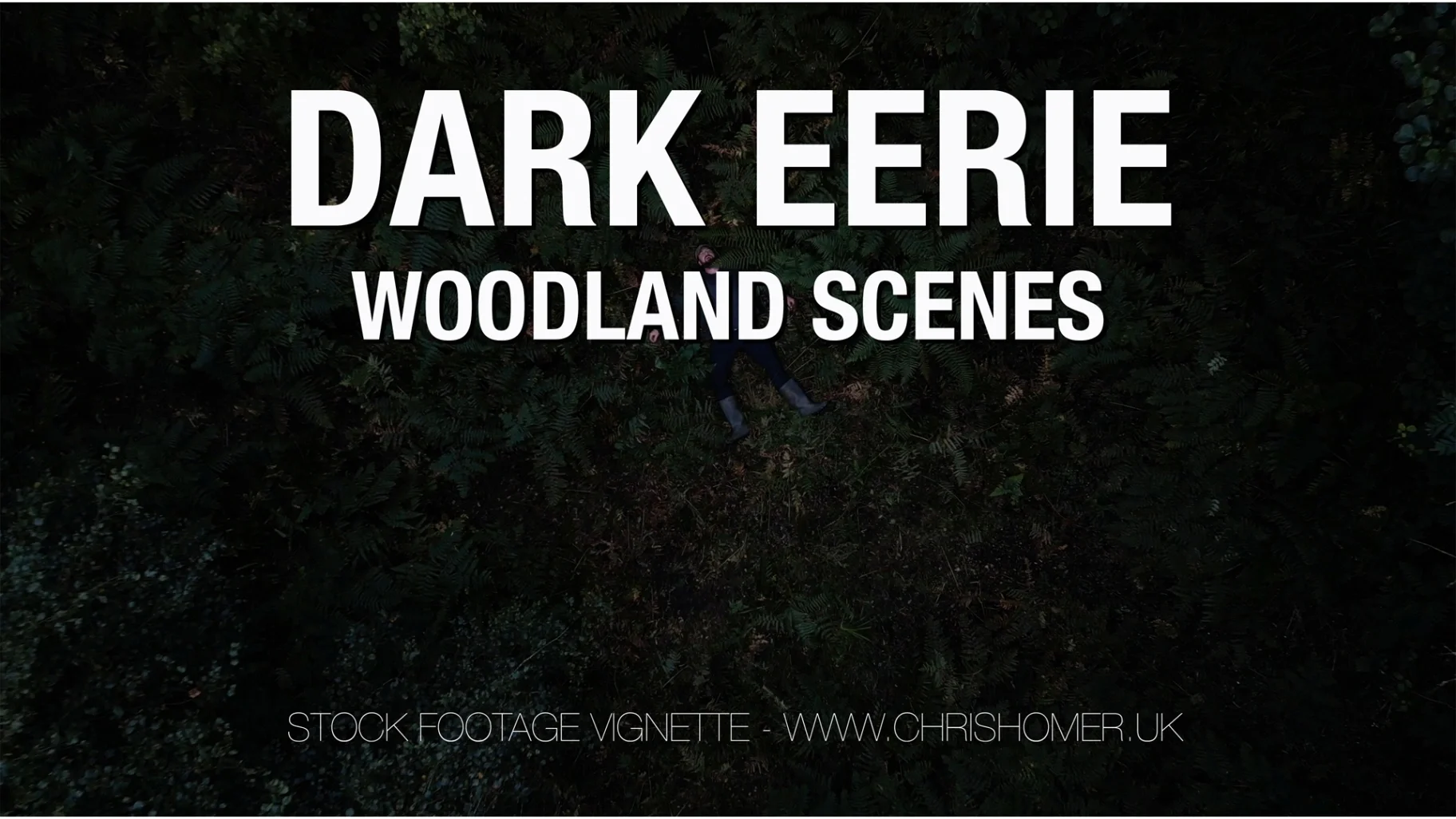 Dark spooky woodland stock video footage