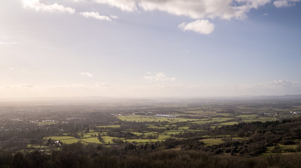 Cheltenham Festival stock video footage