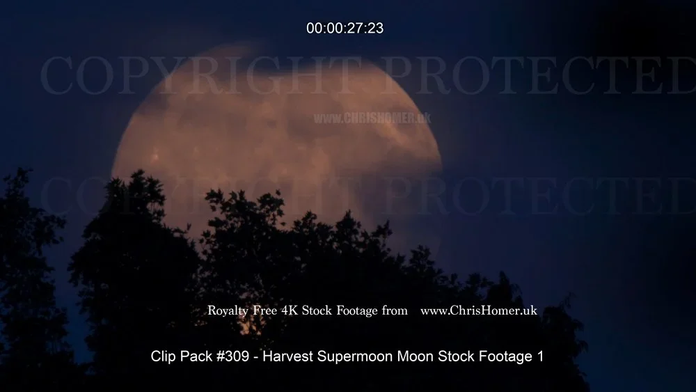 Clip+Pack+#309+-+Harvest+Supermoon+Moon+Stock+Footage+1-00-00-27-940.webp