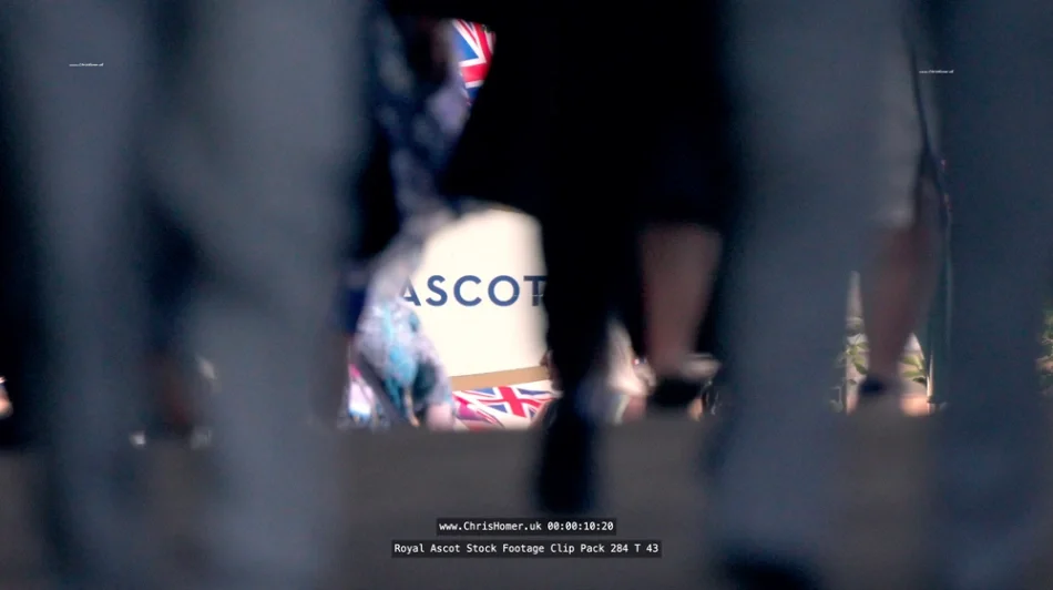 Screenshot 2026-06-01 at 09.13.22_compressed.webp