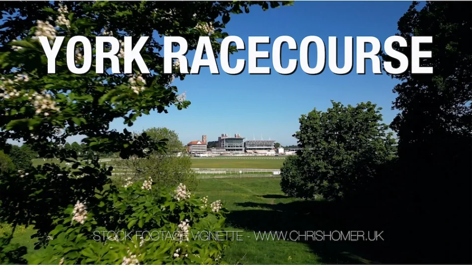 York racecourse stock video
