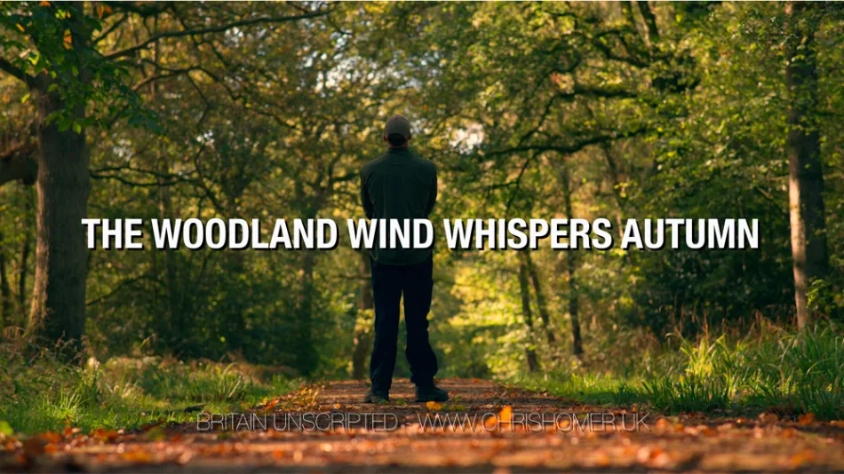 When the Woodland Wind Whispers Autumn | Britain Unscripted