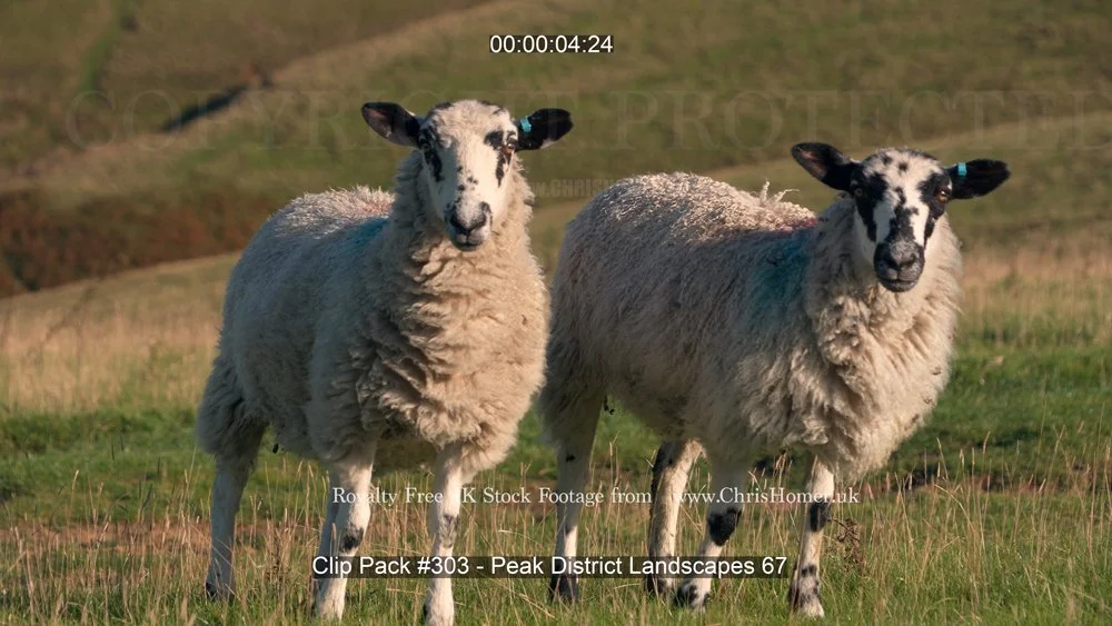 Clip Pack #303 - Peak District Landscapes 67-00-00-04-960.jpg