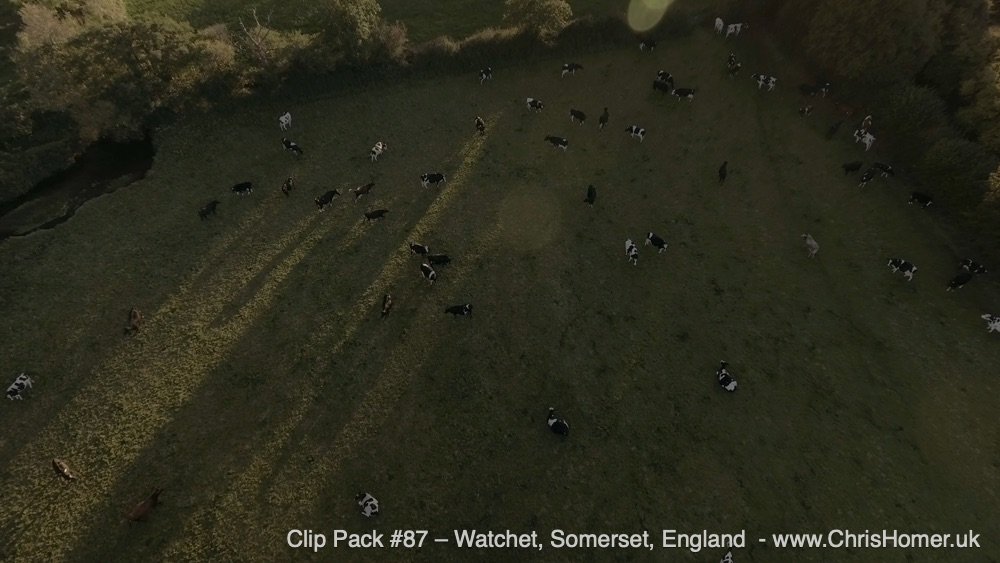 Clip Pack 87 D 15-00-00-05-460.jpg