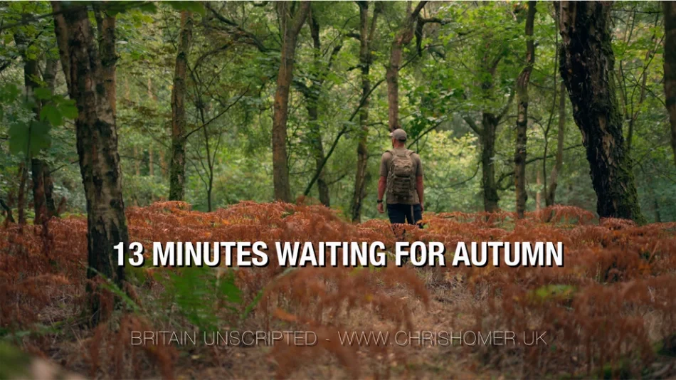 Waiting for autumn stock video footage
