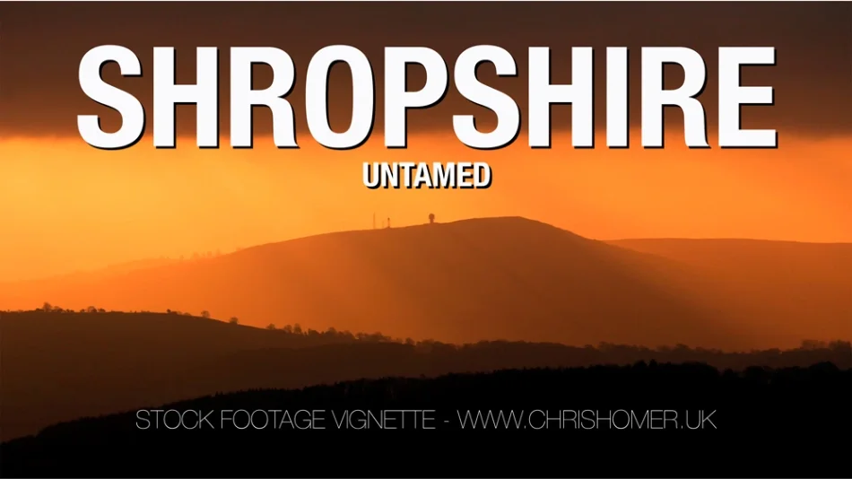 Shropshire - Untamed | Stock Footage Vignette