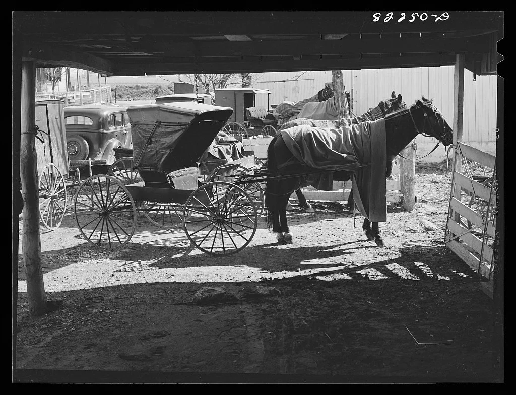 On assignment in Lancaster