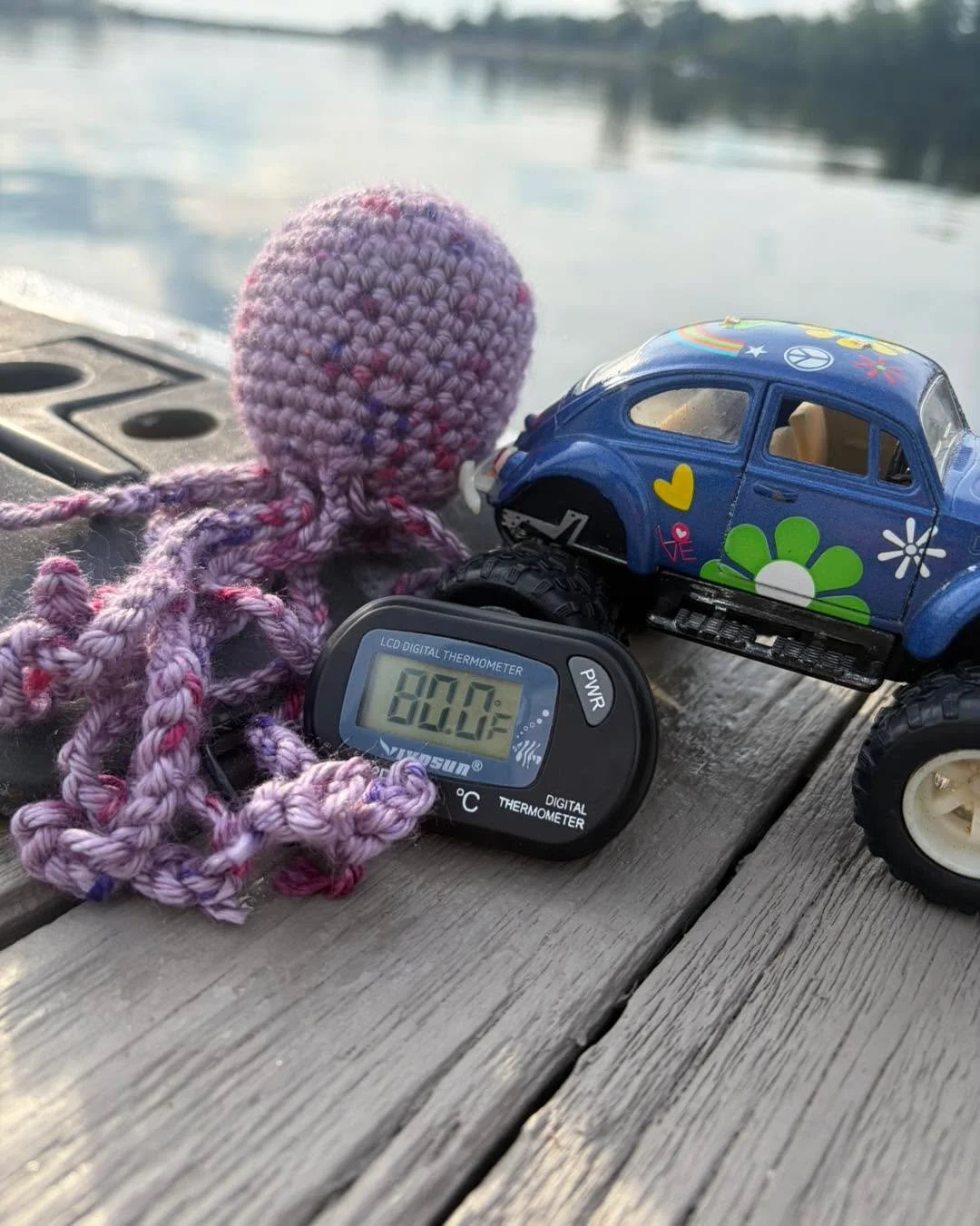 Sunday OWS is forecasting 80 water temp with presence of aquatic friends (jellyfish;) How &ldquo;bad&rdquo; are they? Good question. Unpredictable fellas. Range of discovery is, &ldquo;Where are they?&rdquo; to &ldquo;I found all of them!&rdquo; Cove