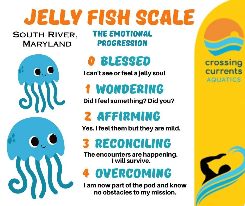 Gearing up for Season B of OWS launch on the South River this Sunday!  The presence of these creatures fluctuates. Expect updates on Friday to make decisions 🤗 If you&rsquo;ve not heard of a Stinger Suit or Sea Safe Sunscreen, get googling 😬
#justk