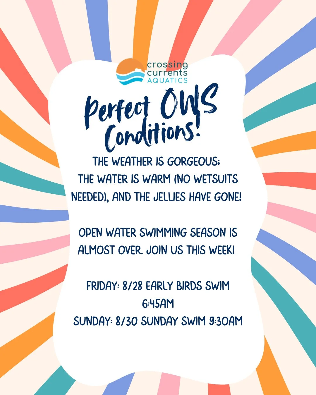 🌞 Couldn't make our pop-up swim last night? 

The conditions are basically perfect right now: gorgeous weather, warm water (no wetsuit needed!), and the jellies have officially cleared out.  You've still got two more chances this week:

🌅 Friday 8/