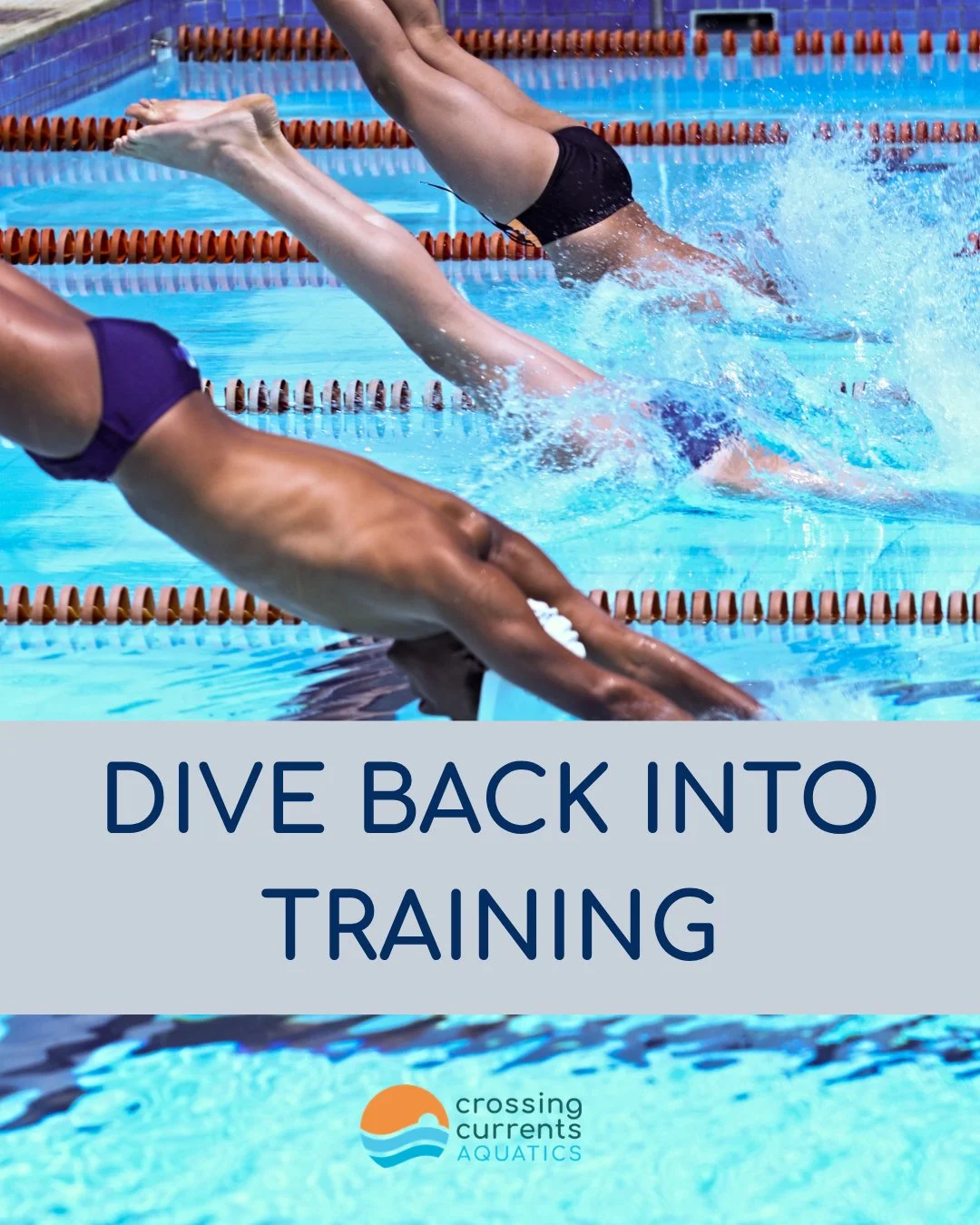 🏊 Ready to Dive Back Into Training?

As open water season wraps up, it's the perfect time to get a real starting point for what to work on this fall. Grab a drop-in film and feedback session on September 2nd and walk away with clear, personalized in