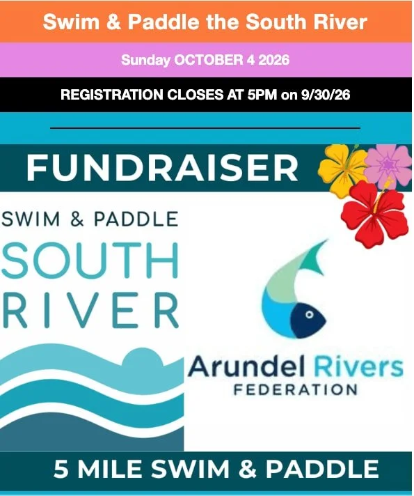 Time's almost up!

Registration for Swim &amp; Paddle the South River closes TODAY, September 30 at 5:00 PM &mdash; this is your last full day to grab a spot. Solo swim, relay, or paddle-only, there's an option for everyone on Sunday, October 4 in Ri