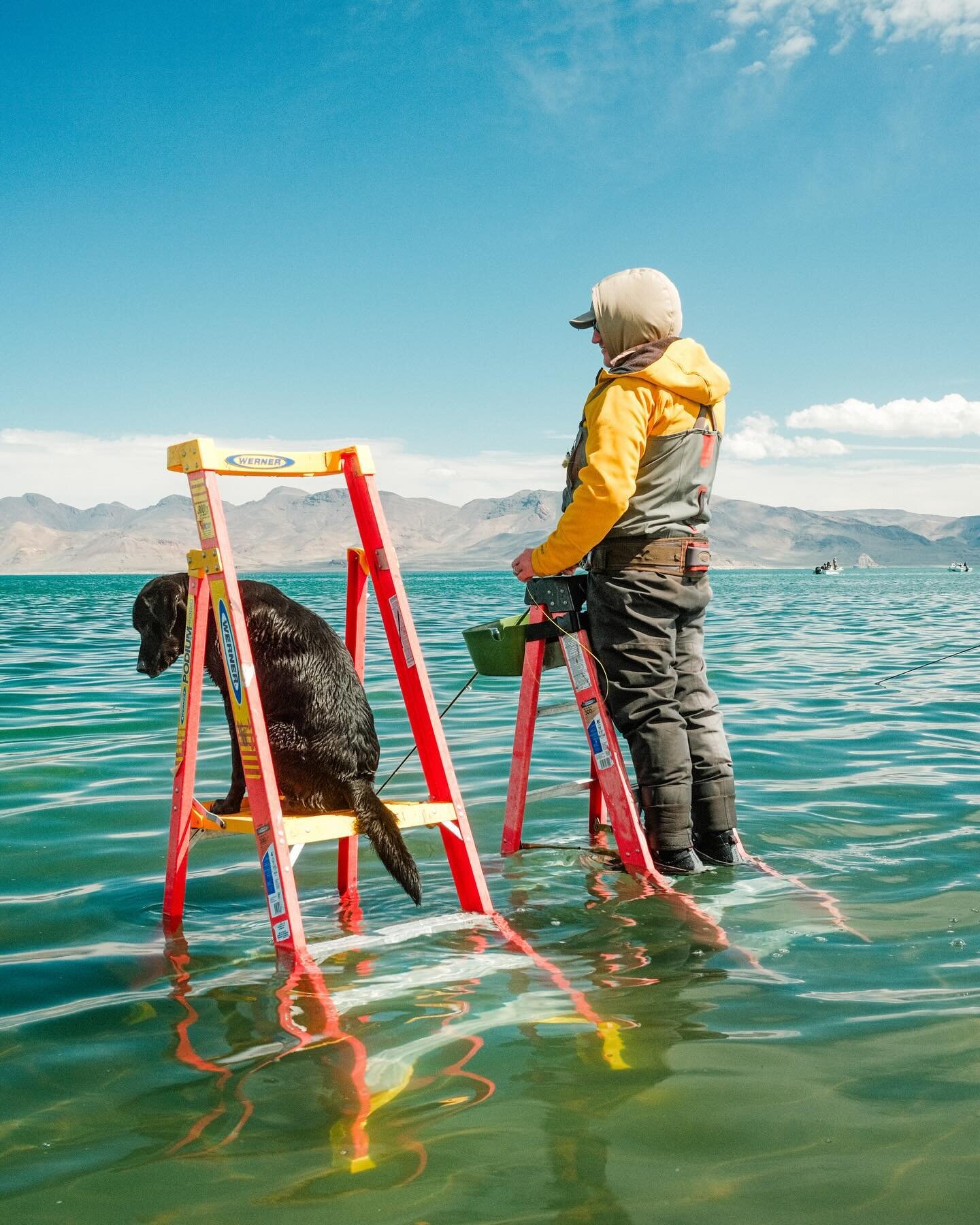 There are good dogs, and then there&rsquo;s Olive&hellip; Fish spotter extraordinaire.