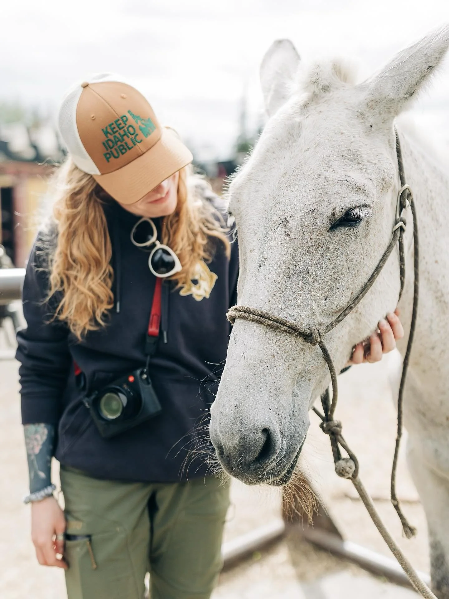 Born to be a horse (or mule) girl, forced to be realistic about the limitations of my wandering lifestyle and financial responsibilities/goals. Womp womp. (Also big fan of traveling with photographer friends. 💖 @aka.tx)