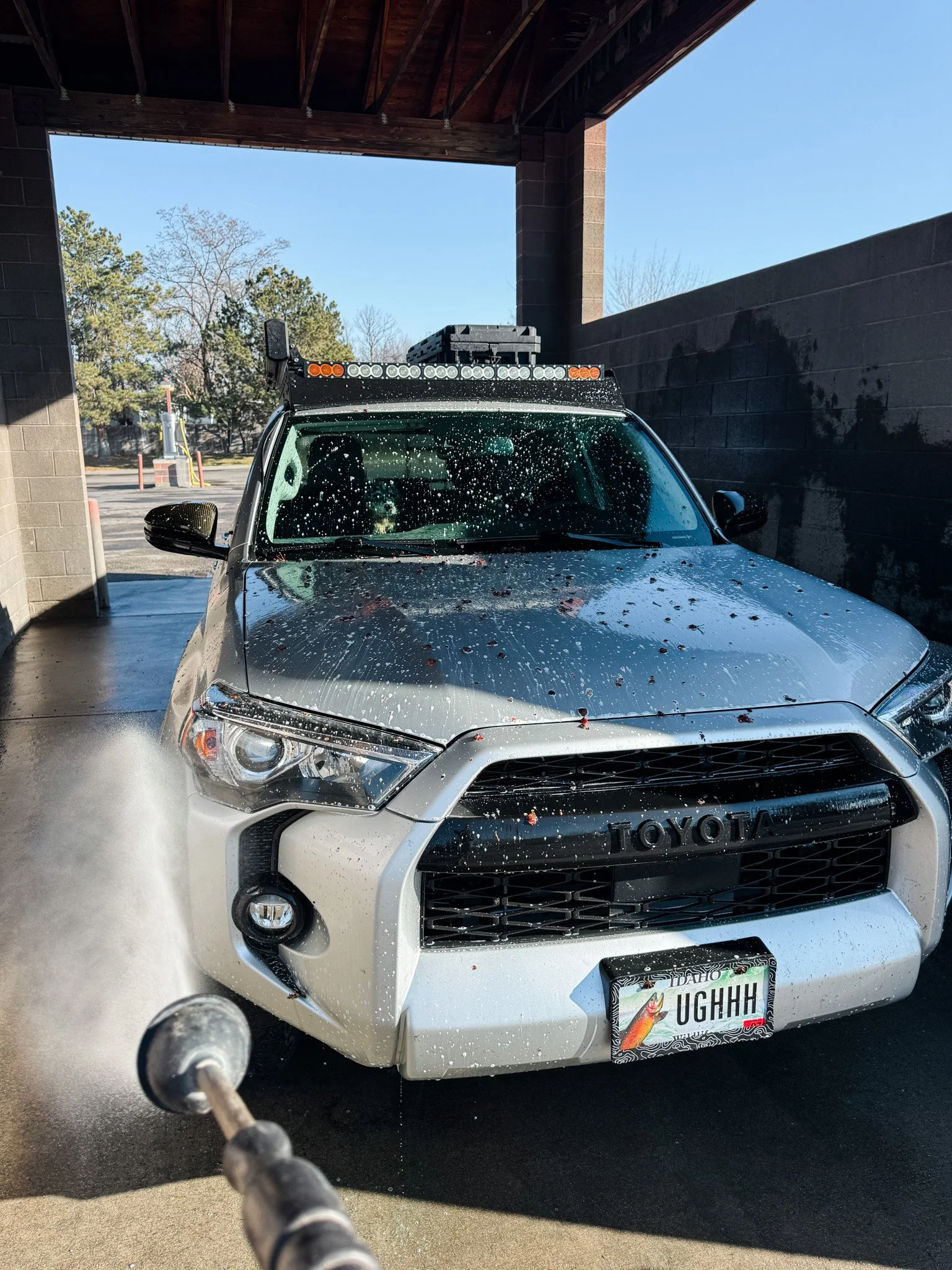 Pls tell me why the fuck I'm washing my car in shorts in January