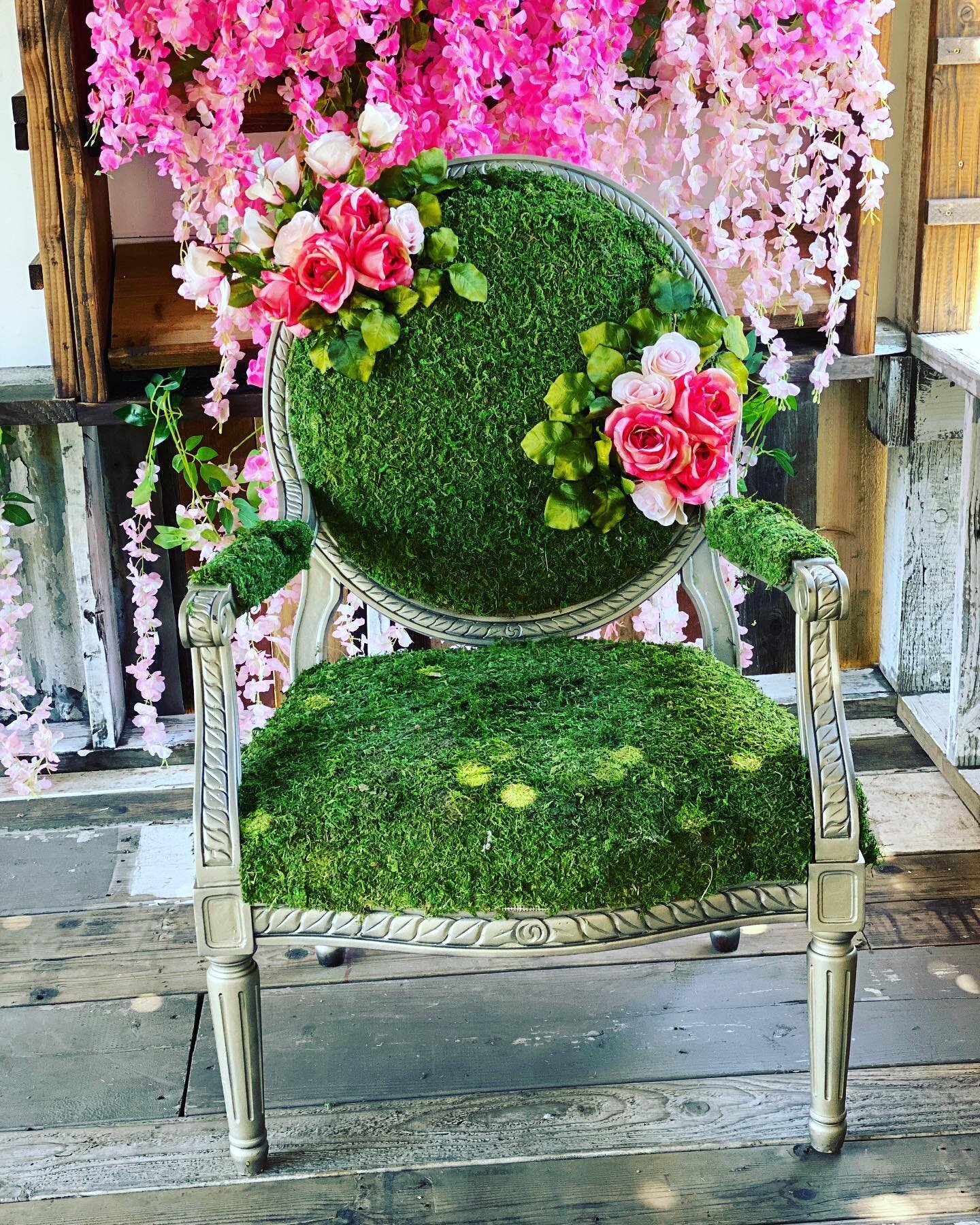 Moss covered garden chair.
#gardenchair