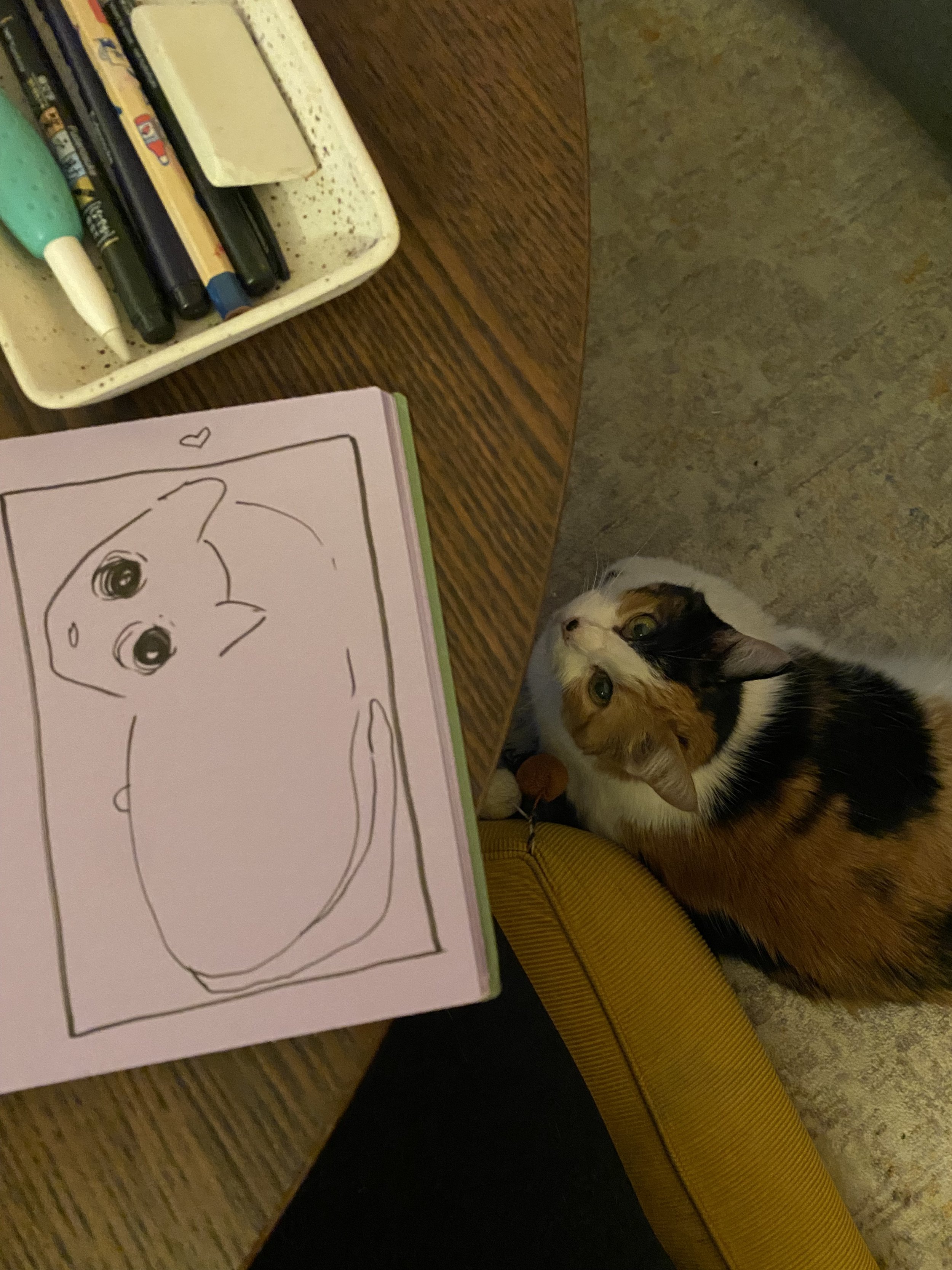 IMG_7741.jpeg
