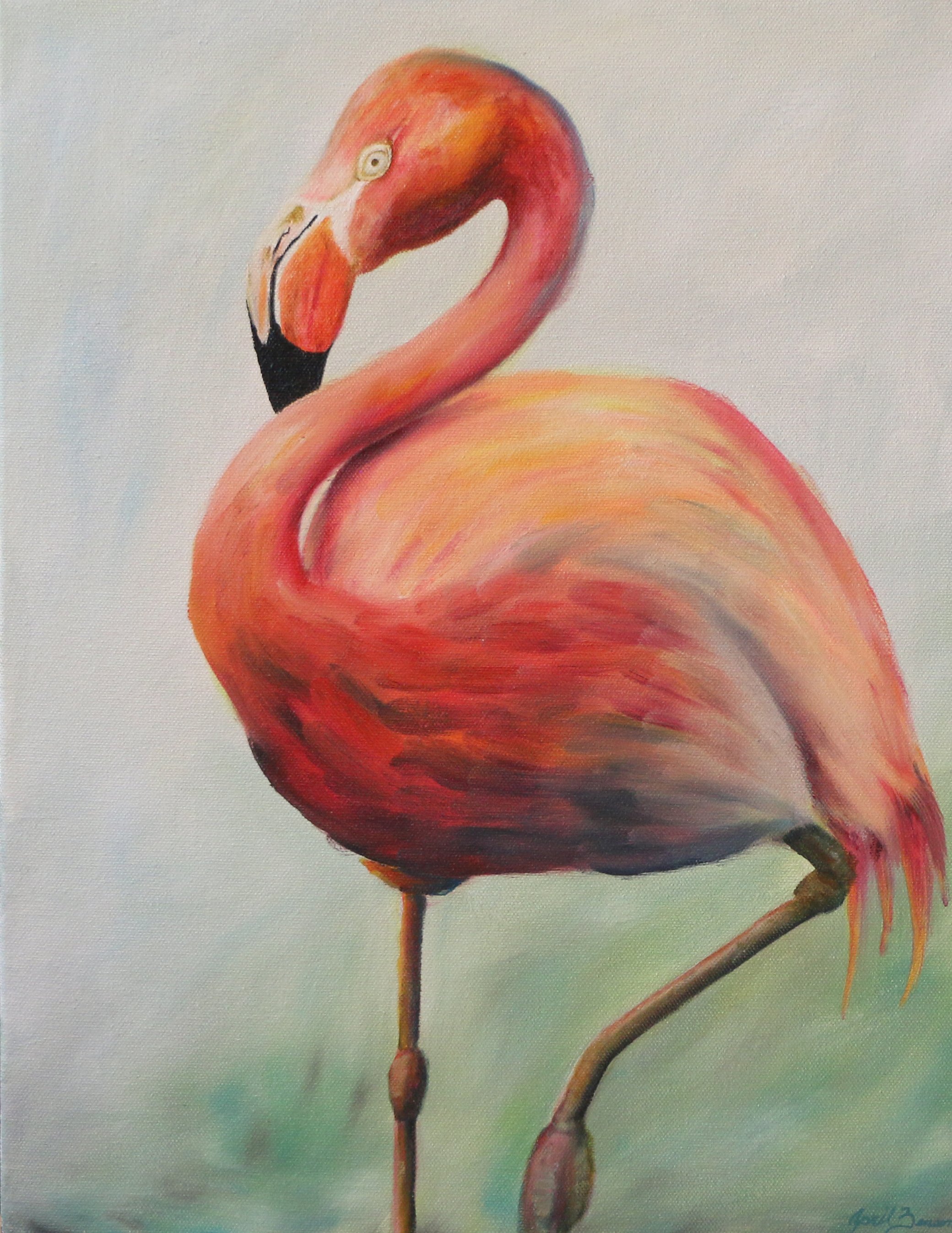 Flamingo
