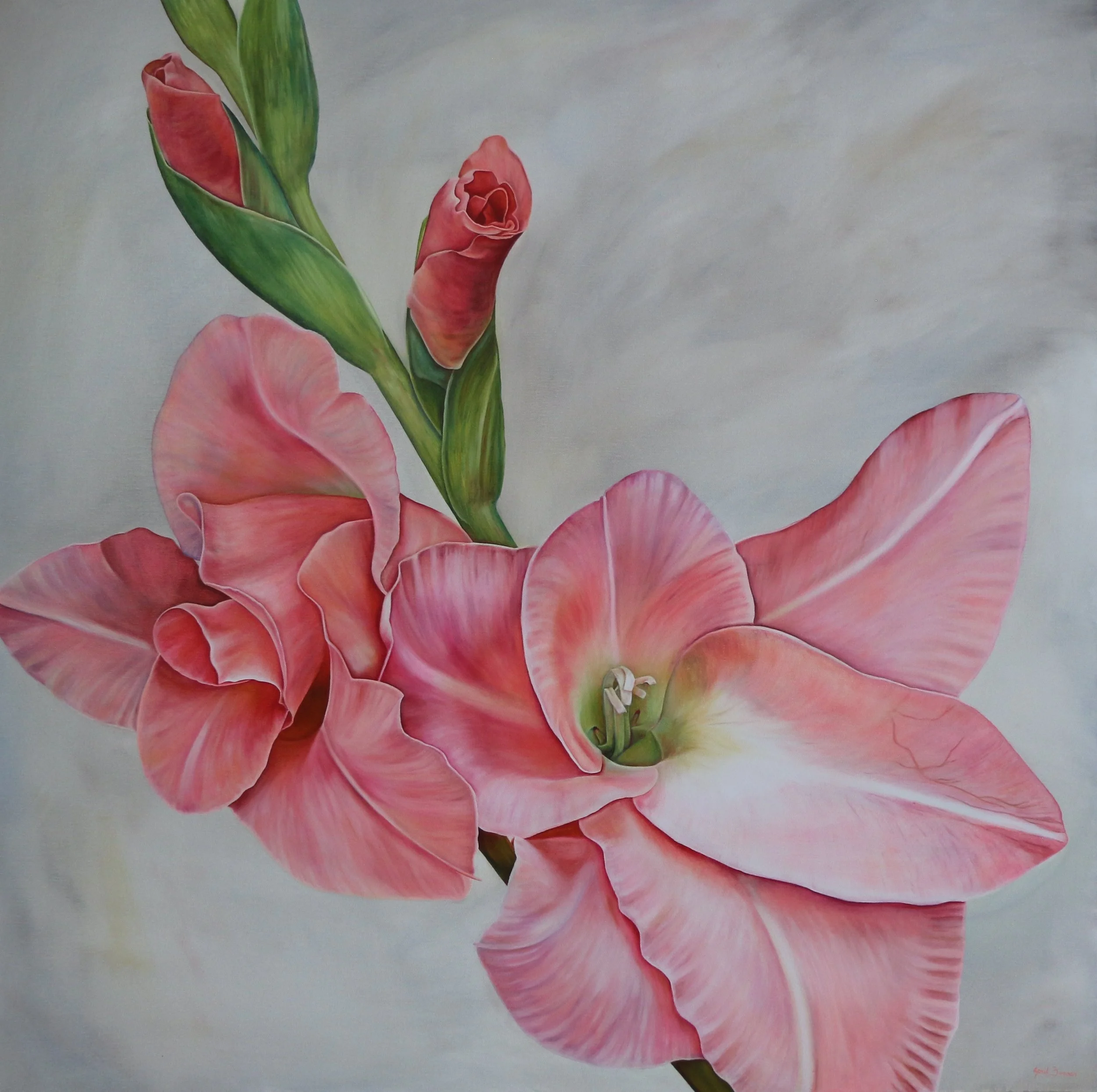 Benson, April_Pink Gladiola.jpg