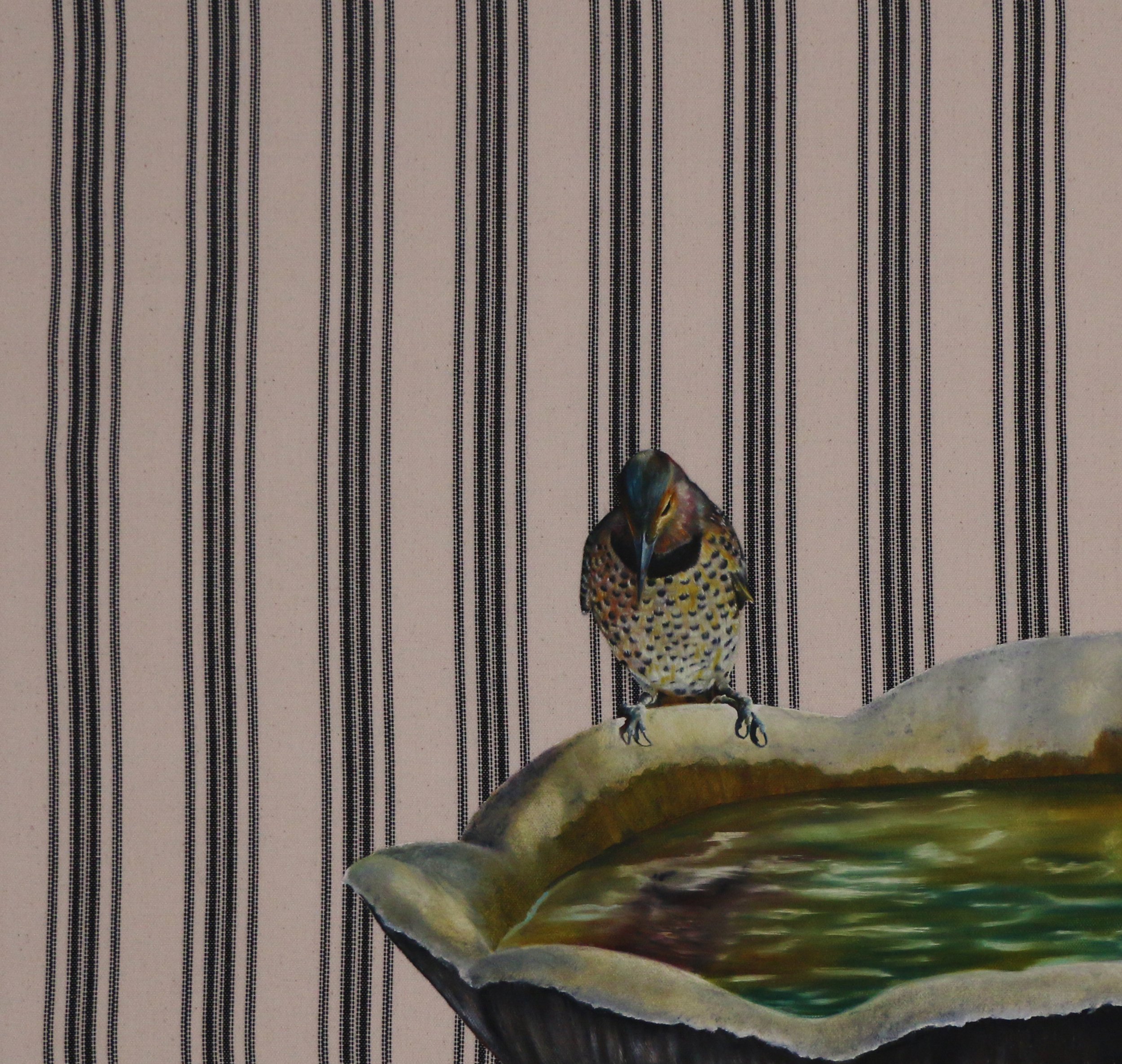 Bird at the Bath 2025.jpg