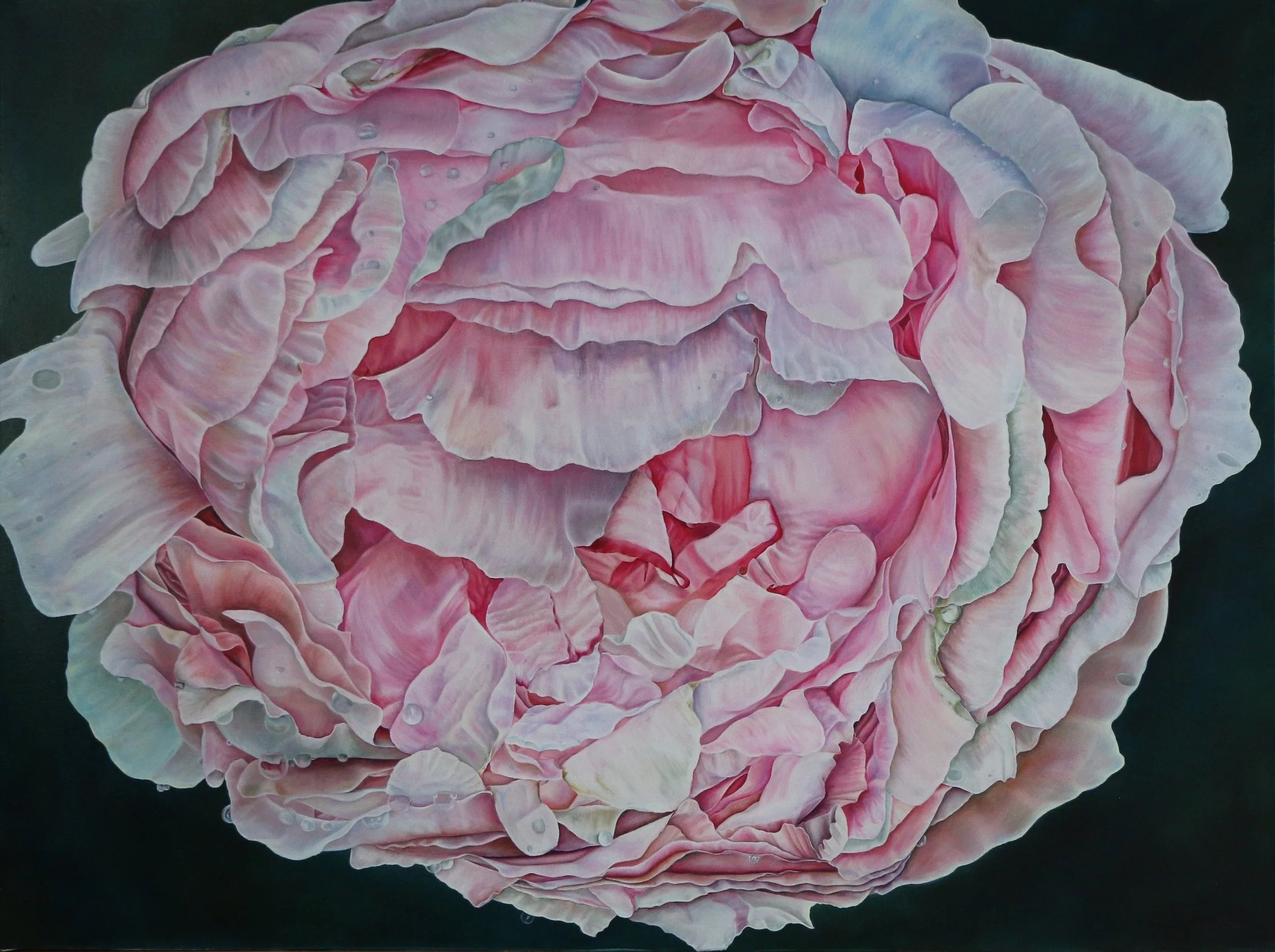 Peony